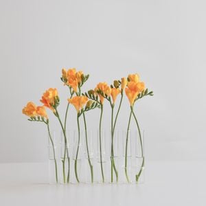 수호꽃스튜디오 한송이 꽃 투명 화병 입구좁은 슬림 조화 꽃병 꽃테리어 식탁꽃 꽃꽂이