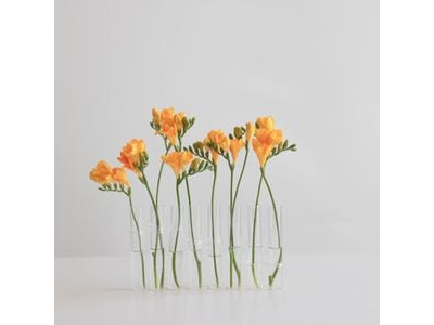 수호꽃스튜디오 한송이 꽃 투명 화병 입구좁은 슬림 조화 꽃병 꽃테리어 식탁꽃 꽃꽂이