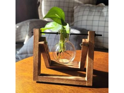 수경재배 유리병 1구 수경화병 조화화병 유리꽃병 인테리어화병 수경화분